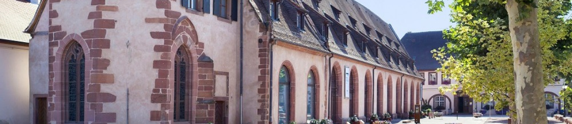 Expositions 2027 : appel à candidatures !